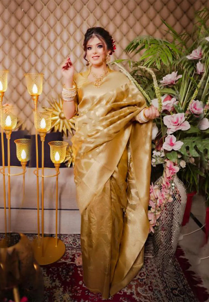 Tissue Saree with Intricate Detailing