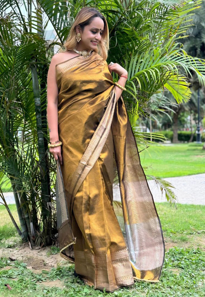 Pure Tissue Saree with Blouse